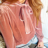 Bellame Velvet Tie Neck Blouse