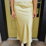 Aniston Silk Skirt